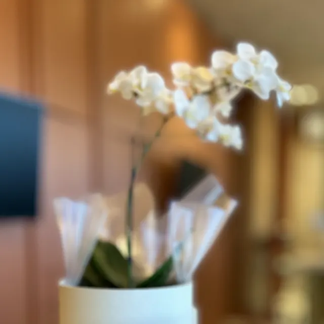 Orquídea branca no vaso com o nome da Dra. Marina, na recepção